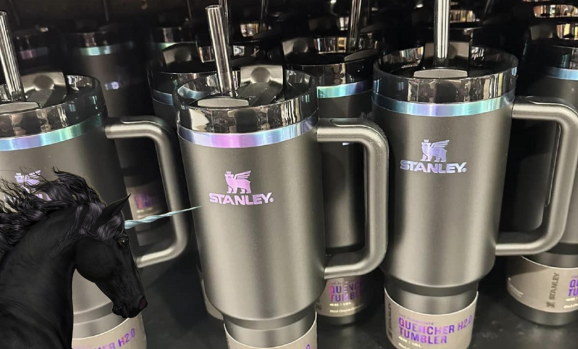 Stanley Secretly Dropped A Black Iridescent Tumbler And It’s Giving Magical Vibes